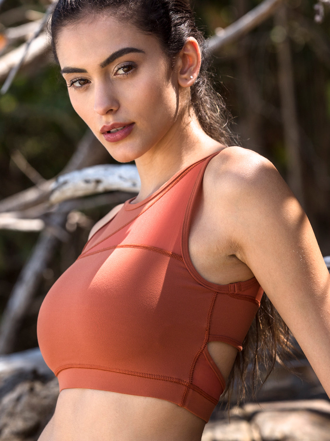 INTERSECTION BRA, MAPLE